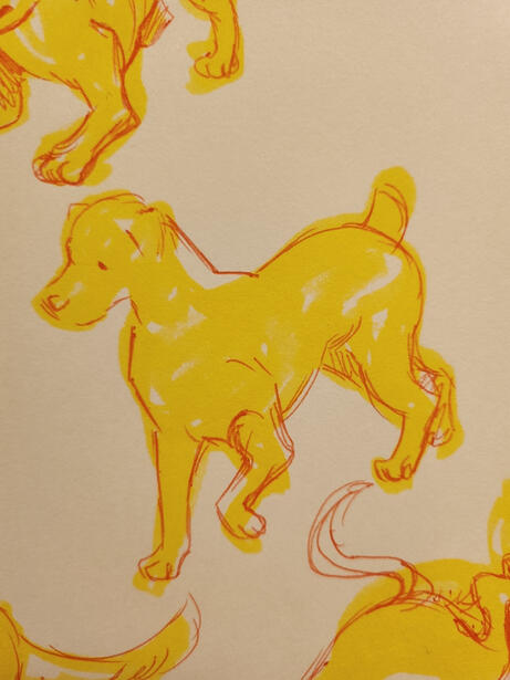 Dog Visual Development