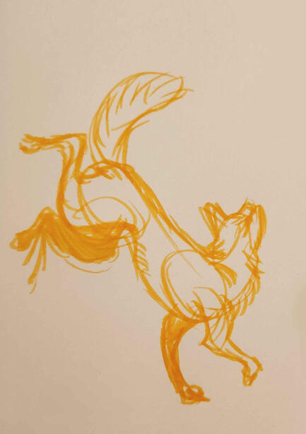 DogSketching-LifeDrawing